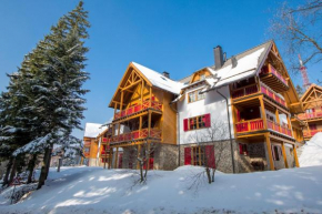 Bolfenk Snowflake app Hočko Pohorje